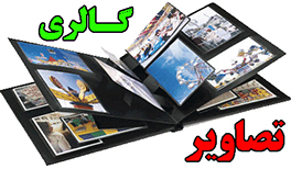 گالری تصاویر