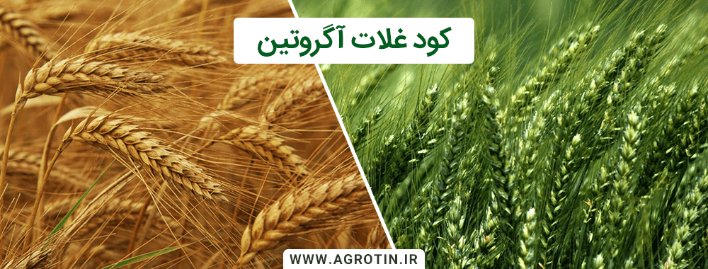 کود غلات آگروتین