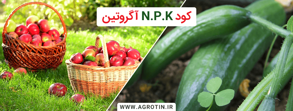 کود NPK آگروتین